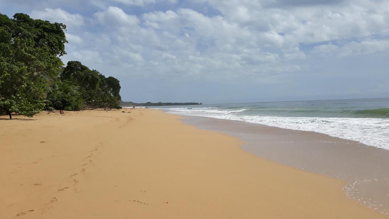 Bluff Beach Retreat Бокас дел Торо Екстериор снимка