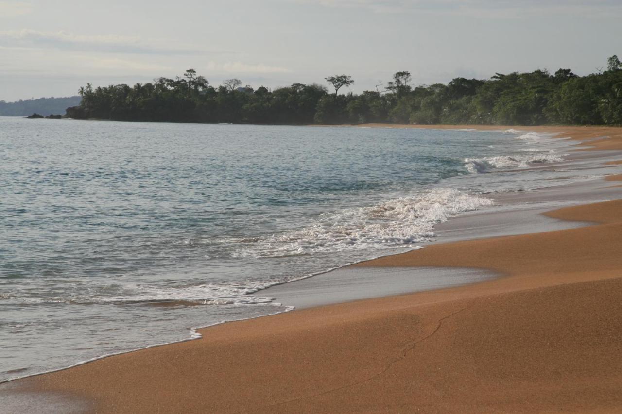 Bluff Beach Retreat Бокас дел Торо Екстериор снимка