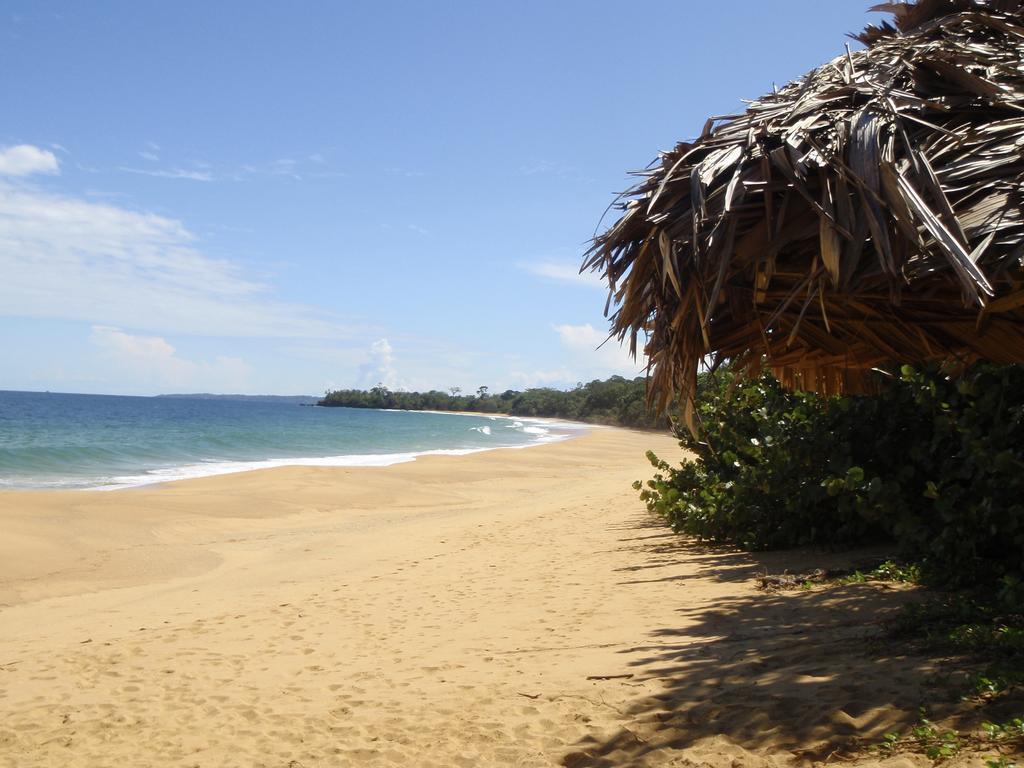 Bluff Beach Retreat Бокас дел Торо Екстериор снимка