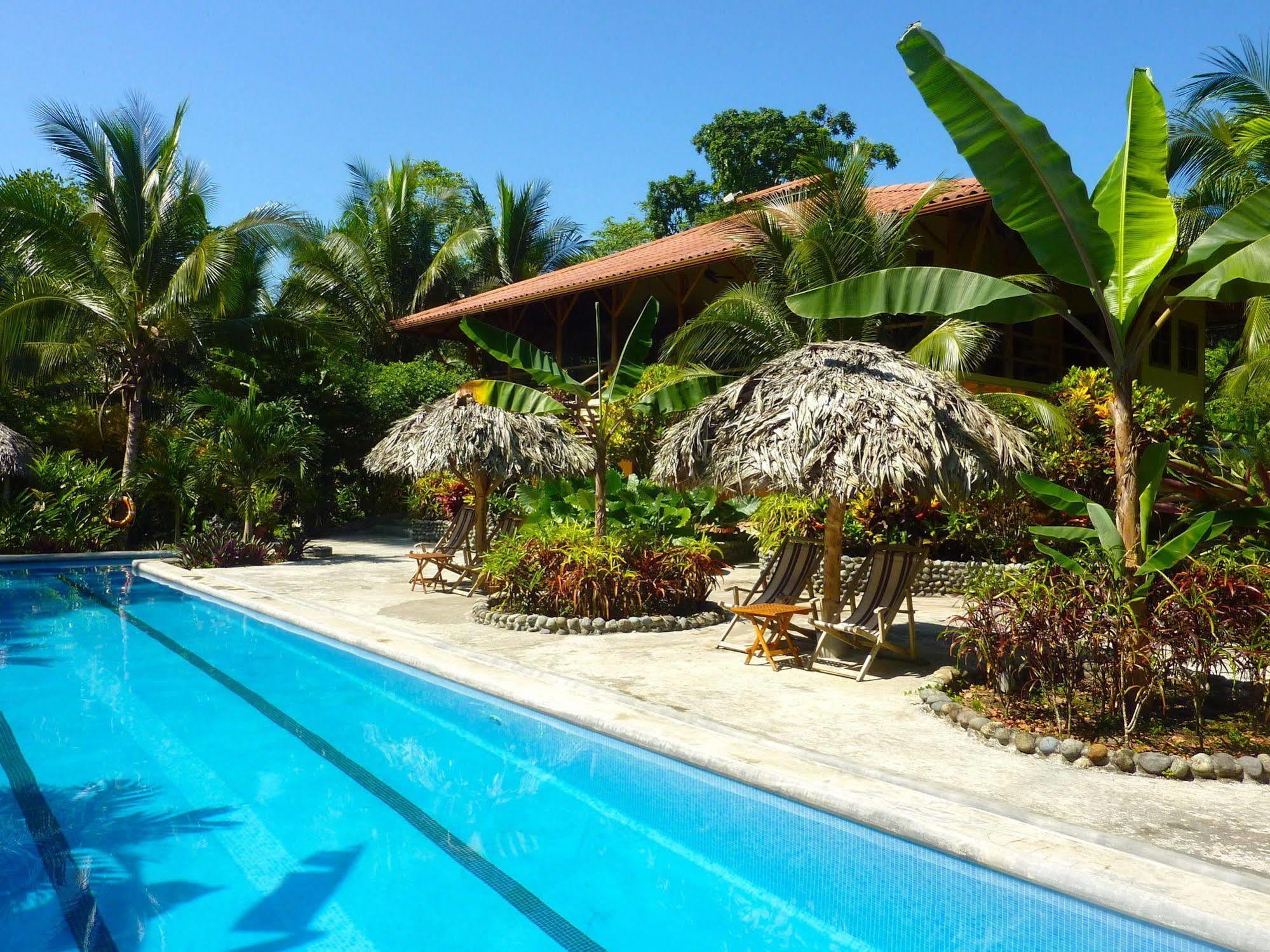Bluff Beach Retreat Бокас дел Торо Екстериор снимка