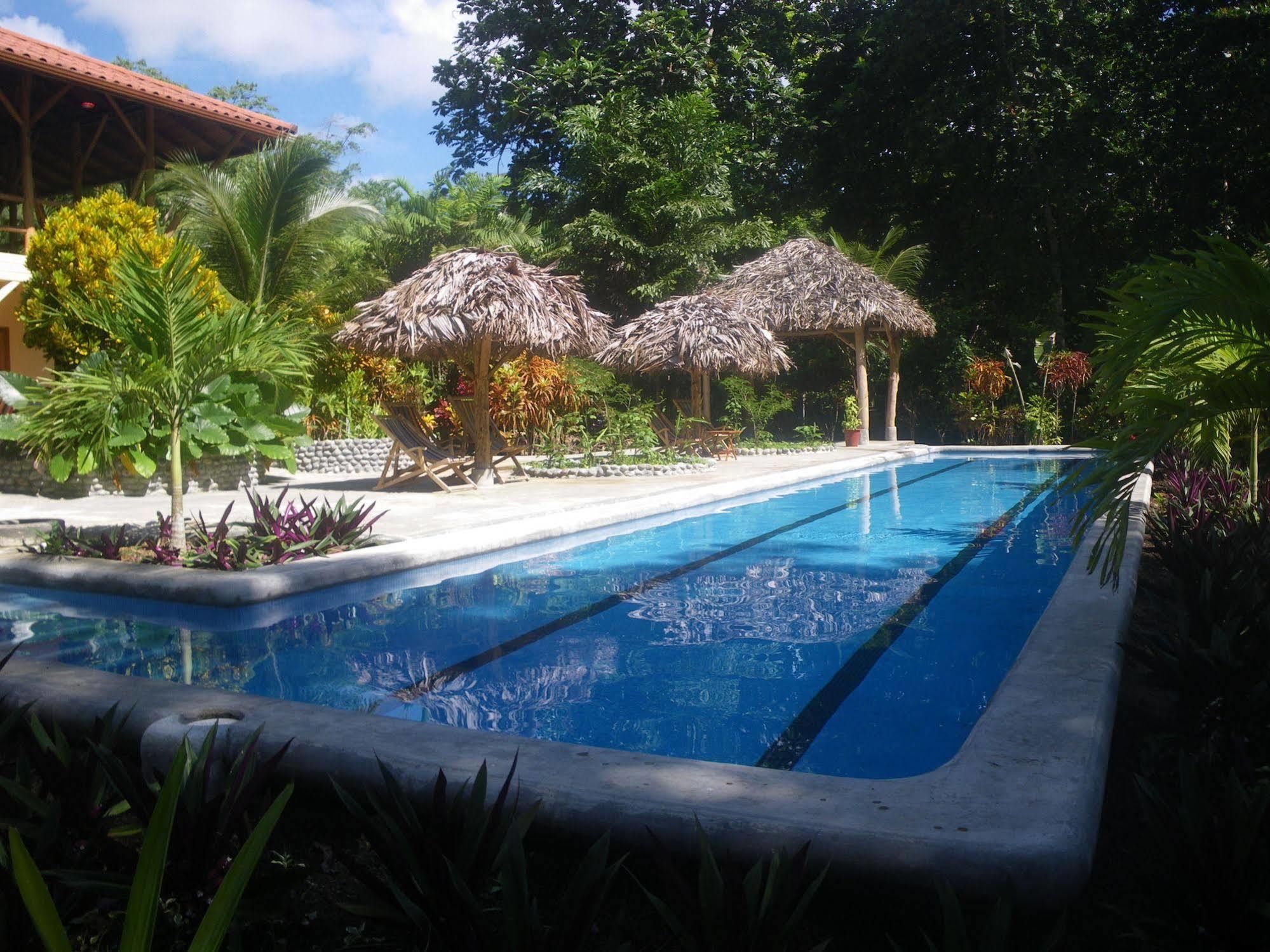 Bluff Beach Retreat Бокас дел Торо Екстериор снимка