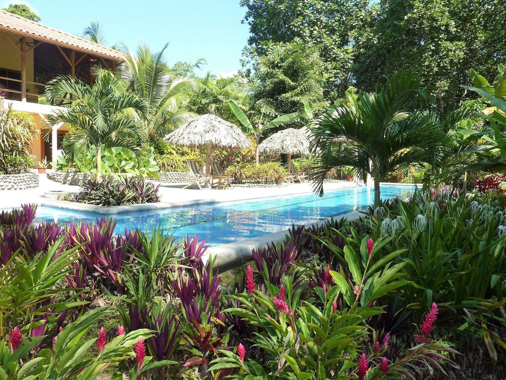 Bluff Beach Retreat Бокас дел Торо Екстериор снимка