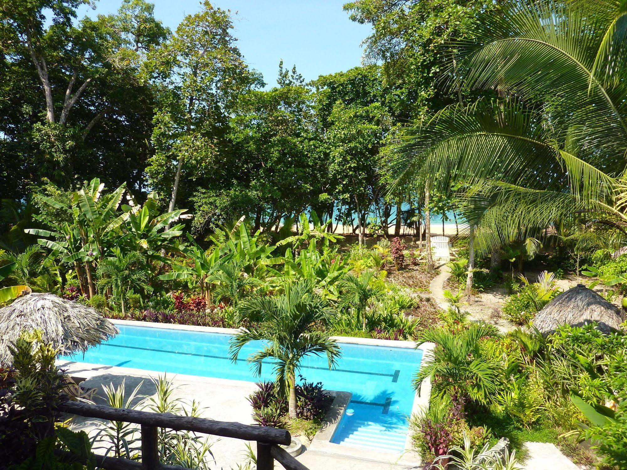 Bluff Beach Retreat Бокас дел Торо Екстериор снимка