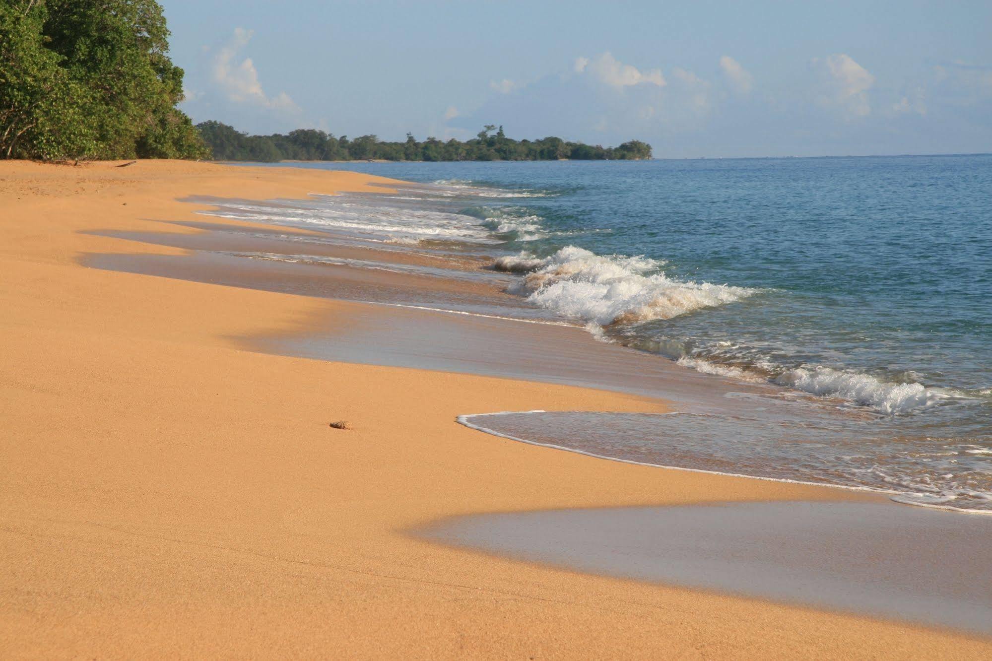 Bluff Beach Retreat Бокас дел Торо Екстериор снимка